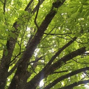 Meet your Posher, Willow